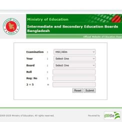 HSC Result 2025 With Full Marksheet
