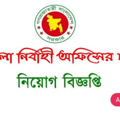 Upazila Nirbahi Office Job Circular 2026