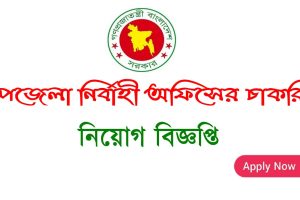 Upazila Nirbahi Office Job Circular 2026