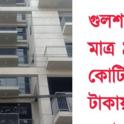 A corner attractive house for sale near Gulshan Lake