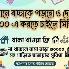Baby care at home in Gulshan 4 days a week 32900 food